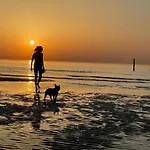 In Belgium With Sea Views Остенде
