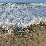 In Belgium With Sea Views Остенде