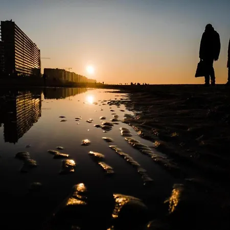 In Belgium With Sea Views * Остенде