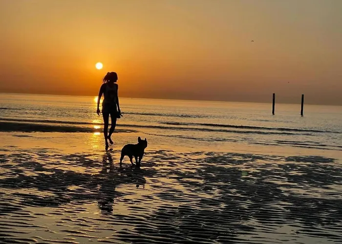 In Belgium With Sea Views Ostend