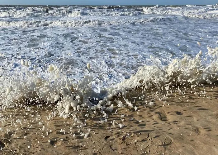 In Belgium With Sea Views Ostend