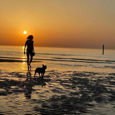 In Belgium With Sea Views Ostenda