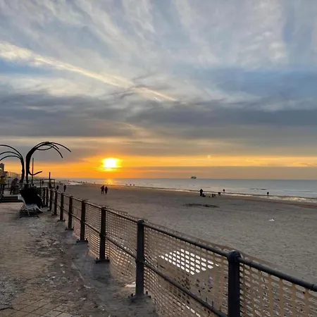 In Belgium With Sea Views * Ostenda