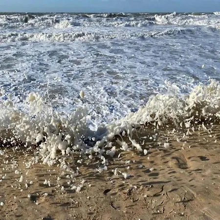 In Belgium With Sea Views Ostenda